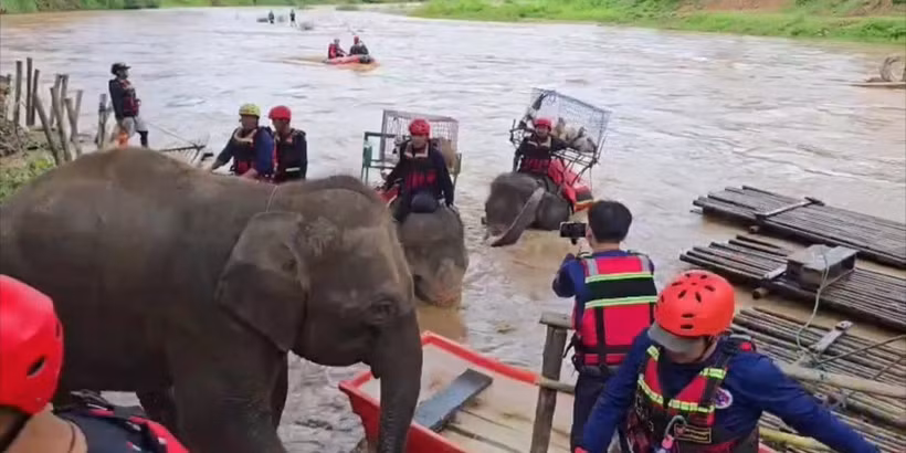 Elephants join flood rescue drill in northern Thailand (Photo: myanmaritv.com)