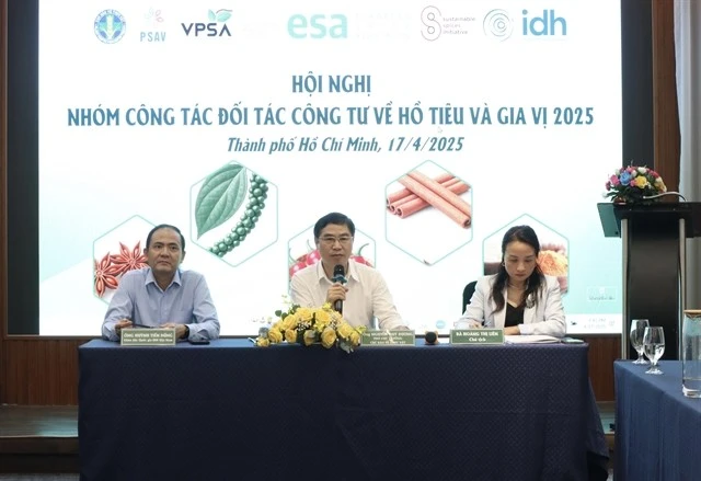 Delegates at the 2025 Annual Public-Private Partnership Group Conference held in HCM City on April 17. (Photo: VNA)