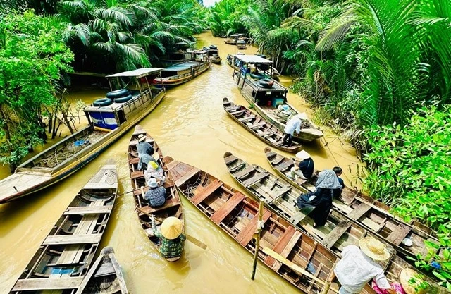 Ben Tre impresses with the image of 'Coconut land'. (Photo: hanoimoi.vn)