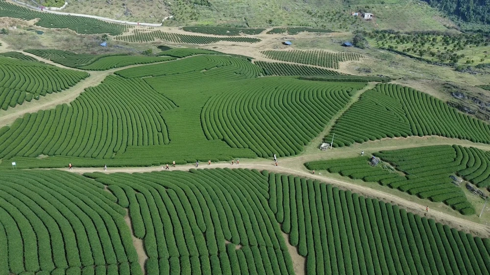 Green economy, circular economy