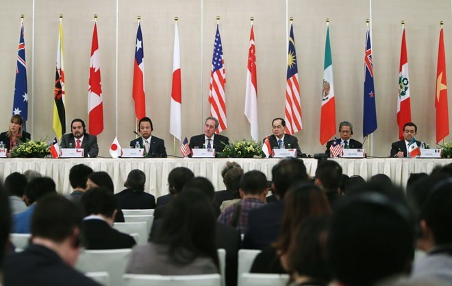 TPP to be submitted to NA for ratification ảnh 1