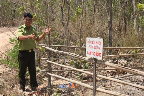 Drought heightens risk of forest fires ảnh 1 Drought heightens risk of forest fires ảnh 1