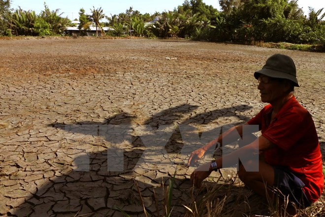 Ca Mau supports farmers in drought-hit areas ảnh 1