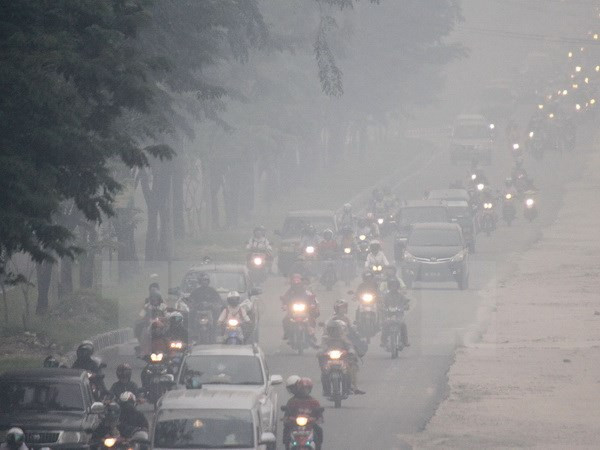 Malaysia makes substantial progress in cutting CO2 emissions ảnh 1