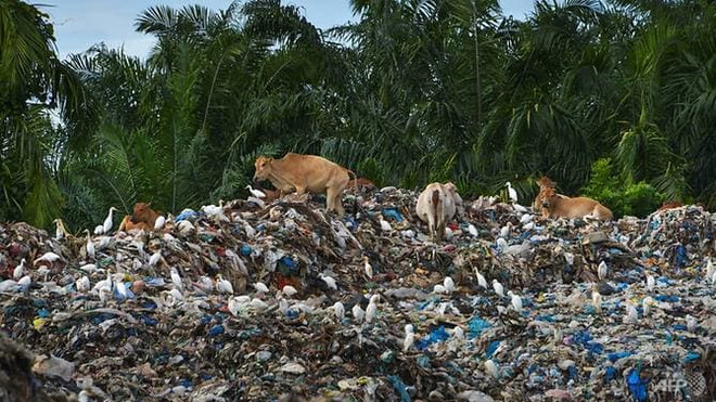Indonesia returns five containers of trash to US ảnh 1 Indonesia returns five containers of trash to US ảnh 1