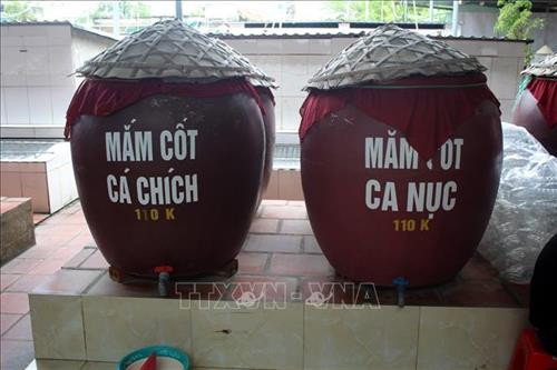 Fish sauce making brings prosperity to Thanh Hoa province ảnh 1