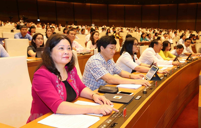 NA deputies debate laws on government organisation ảnh 1