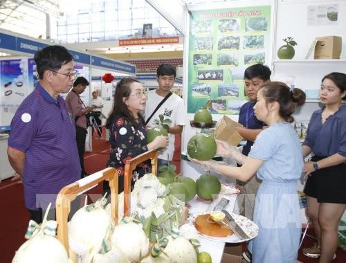 Agricultural expos open in Ho Chi Minh City ảnh 1