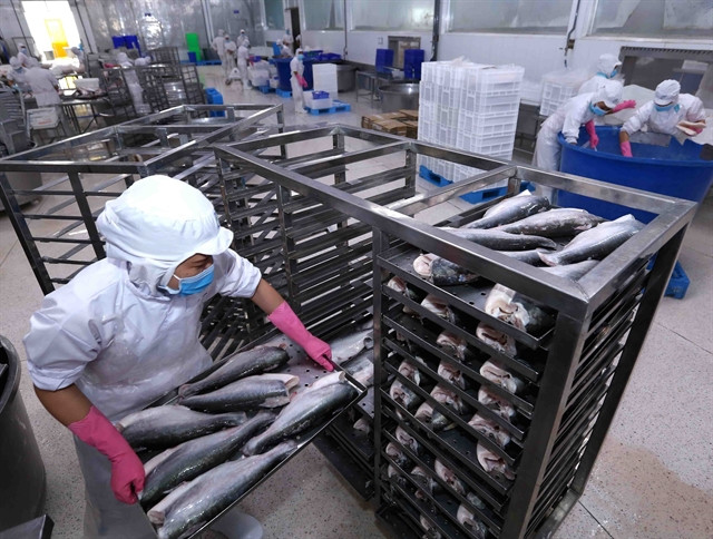 Tra fish industry faces challenges in production and export ảnh 1 Tra fish industry faces challenges in production and export ảnh 1