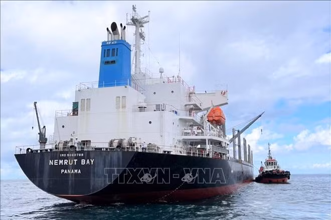 Panamanian ship stranded off coast of Binh Thuan rescued ảnh 1