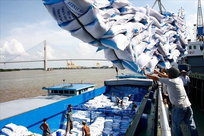 Export of rice, fruits, vegetables spike in H1 ảnh 1