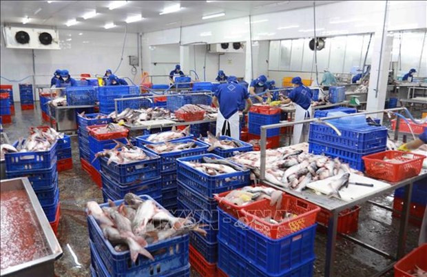 Banks asked to consider solving financial difficulties of fishery businesses ảnh 1