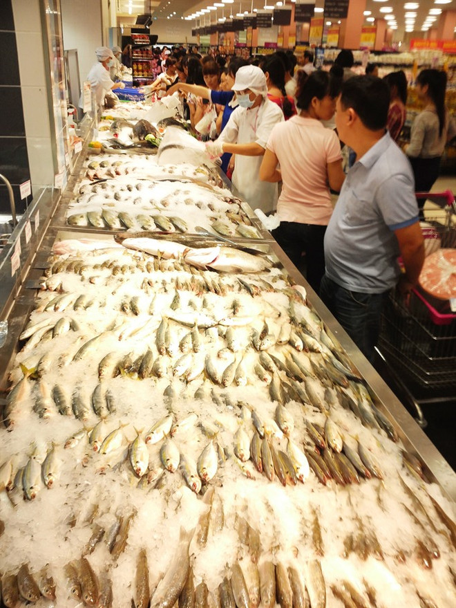 Retail sector searches for common ground ảnh 1