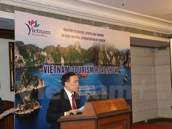 Vietnam promotes tourism in India ảnh 1