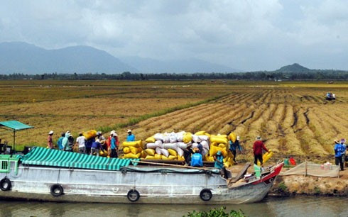 Mekong provinces link up on water management ảnh 1