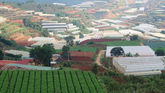 Lam Dong pilots building Vietnam’s first green urban village ảnh 1 Lam Dong pilots building Vietnam’s first green urban village ảnh 1