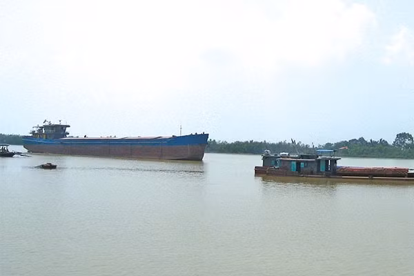 Management of coastal shipping remains low par: conference ảnh 1