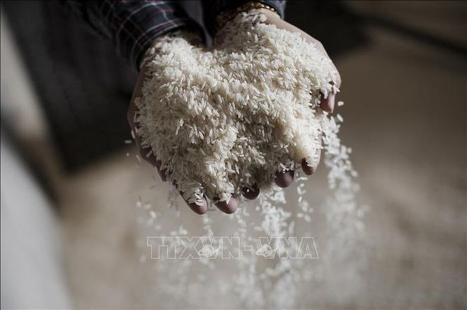 Laos exports rice to EU for first time ảnh 1