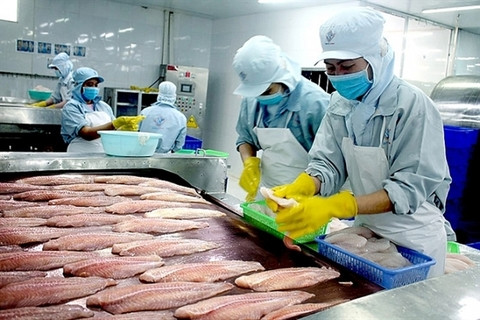 Basa fish industry in the Mekong Delta hit hard by social distancing ảnh 1