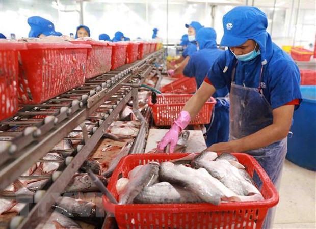 Vietnam calls for more EU investments in agriculture ảnh 1 Vietnam calls for more EU investments in agriculture ảnh 1