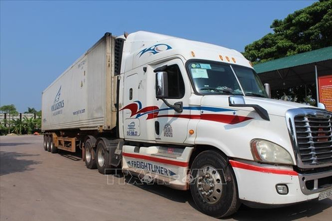 Rapid COVID-19 test waived for truck drivers at Mong Cai Int’t Border Gate ảnh 2