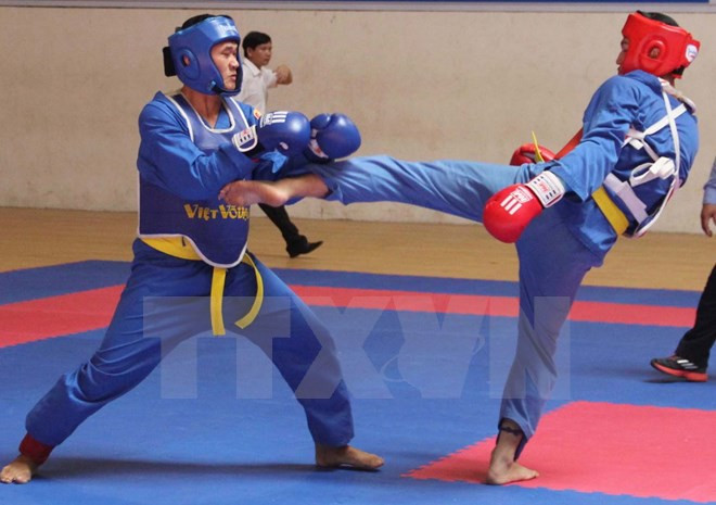 Vietnam tops traditional martial arts champs ảnh 1 Vietnam tops traditional martial arts champs ảnh 1