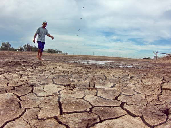 Drought, saline intrusion prevention – urgent task ảnh 1