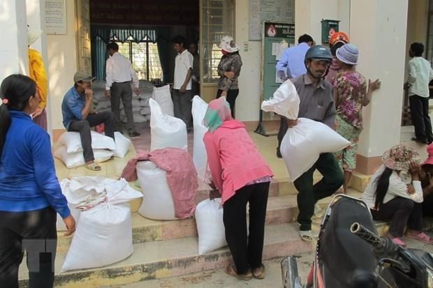 Nearly 880 tonnes of rice to help Cao Bang needy ảnh 1