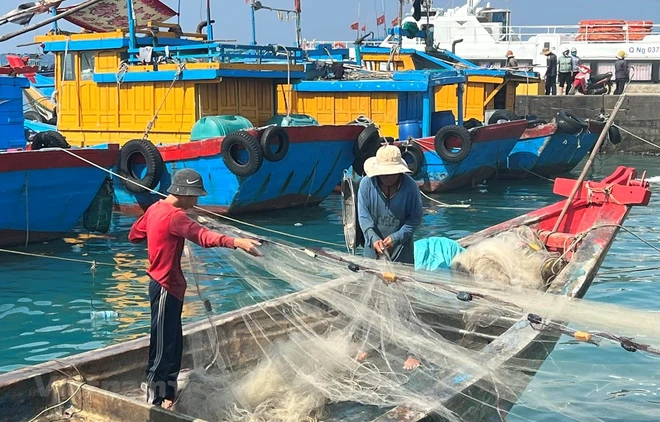 Binh Thuan works hard on combating IUU fishing ảnh 1
