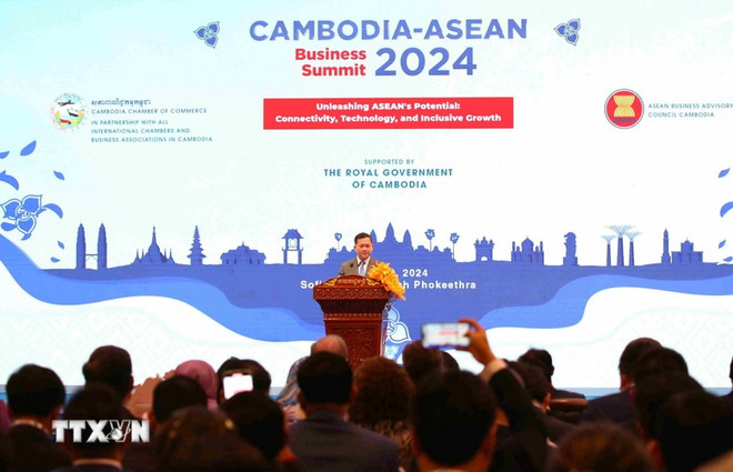ASEAN-Cambodia Business Summit 2024 held ảnh 1