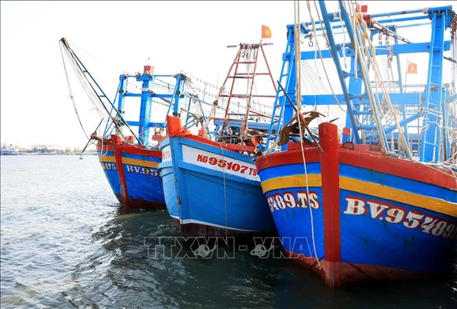 Vessels involved in IUU fishing decline sharply in Ba Ria - Vung Tau ảnh 1 Vessels involved in IUU fishing decline sharply in Ba Ria - Vung Tau ảnh 1