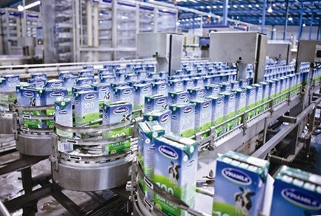 Vinamilk's profit rises 28 percent ảnh 1
