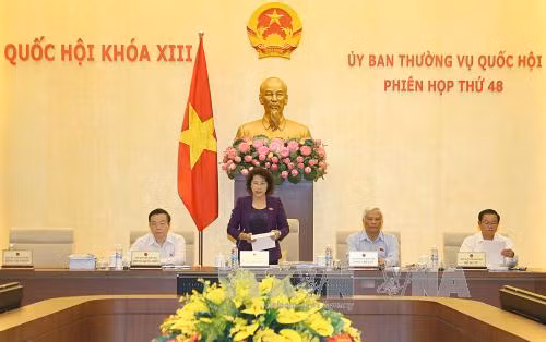 New countryside programme, sci-tech development under review ảnh 1