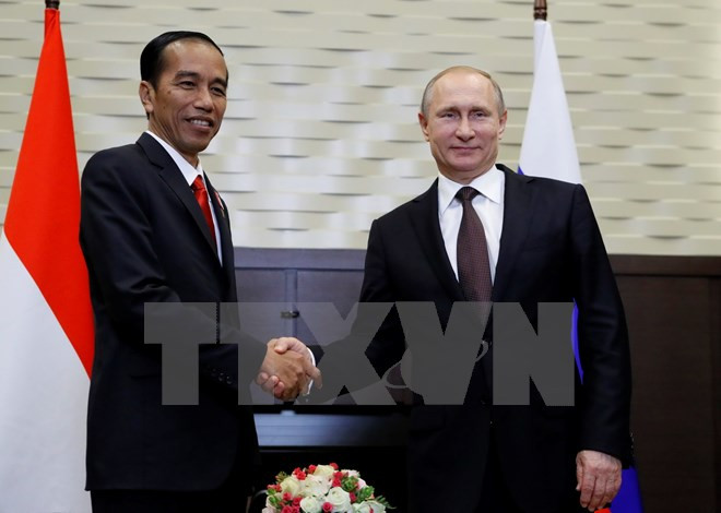 Indonesia, Russia boost bilateral cooperation ảnh 1 Indonesia, Russia boost bilateral cooperation ảnh 1