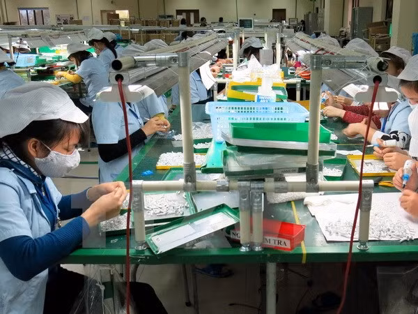 TPP to possibly increase Indonesia’s exports by 2.9 billion USD ảnh 1
