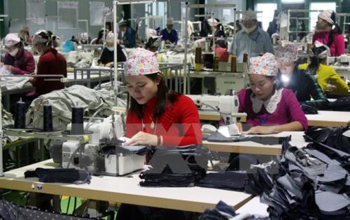 Vietnam’s workforce to reach over 54.4 million in Q2 ảnh 1 Vietnam’s workforce to reach over 54.4 million in Q2 ảnh 1
