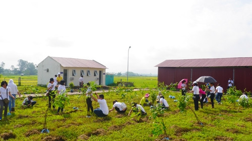 Activities staged for a greener Vietnam ảnh 1
