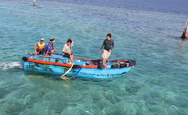 MARD requests drastic measures against IUU fishing ảnh 2