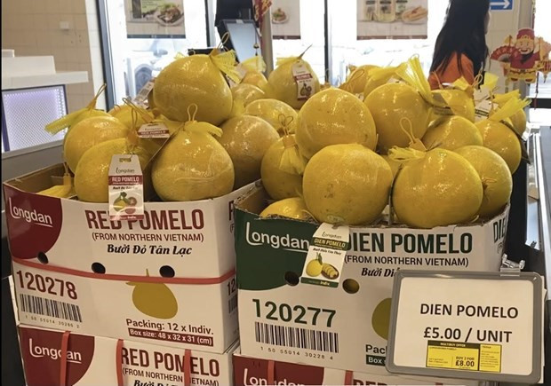 Opportunities for Vietnamese goods in foreign supermarkets ảnh 1 Opportunities for Vietnamese goods in foreign supermarkets ảnh 1