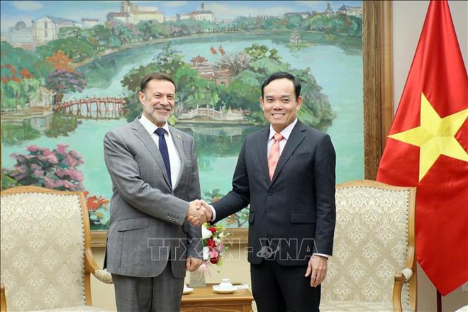Deputy PM asks for good organisation of celebrations for Vietnam-Australia diplomatic ties ảnh 2