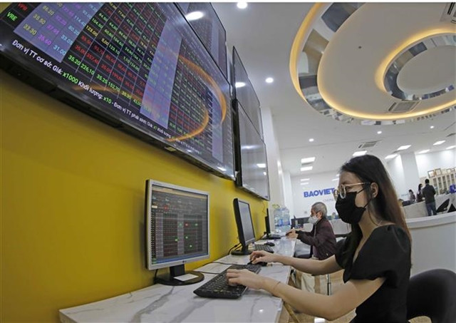 Domestic investors open less than 100,000 new accounts in first two months ảnh 1