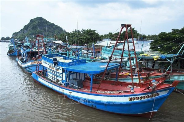 Localities fighting IUU fishing with strong determination ảnh 1