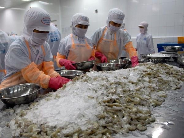 Shrimp export to China sees positive signs ảnh 1 Shrimp export to China sees positive signs ảnh 1