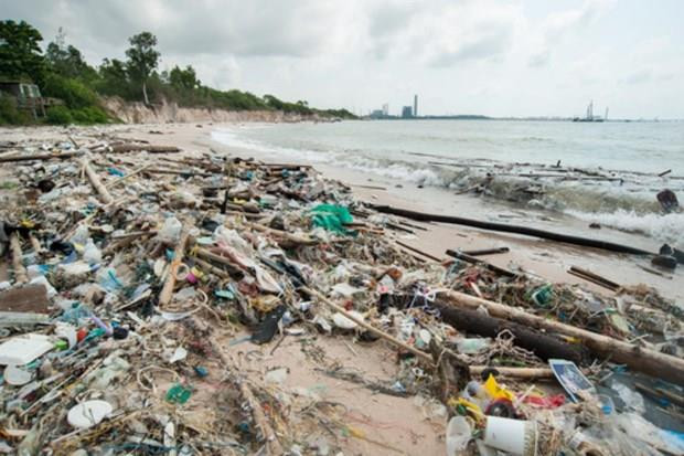 Thailand reduces use of 1.5 billion plastic bags over past year ảnh 1