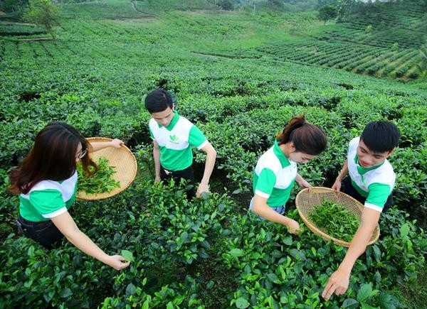Enterprises see sustainable development goals as key to growth ảnh 1 Enterprises see sustainable development goals as key to growth ảnh 1