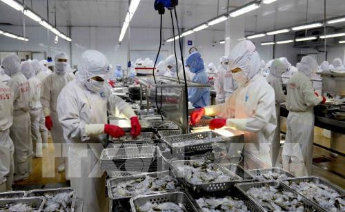 Shares of shrimp exporters surge after US cuts anti-dumping tariffs ảnh 1