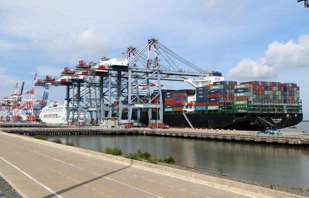 Container stevedoring service costs should increase: Insiders ảnh 1