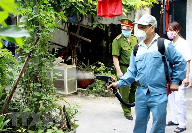 Health ministry urges stronger efforts to prevent dengue fever ảnh 1