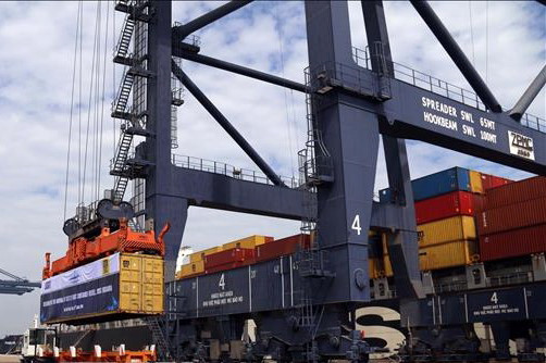 Ba Ria – Vung Tau promotes marine economy, eco-tourism ảnh 1