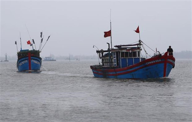  Fishing boat saves 32 foreign fishermen ảnh 1